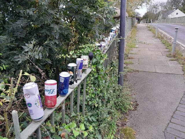 Either one person has quite a diverse taste in drinks or putting empty cans on this fence is a local...