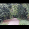 This can't be the medieval pilgrimage route. It feels a lot more like a disused railway line...
