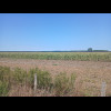 The scenery is gradually changing from forest to farmland.