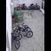 I didn't expect my bike to have made this many friends.