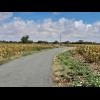 A lot of today's ride is on roads like this, which are almost exclusively for bikes with just the oc...