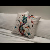 The cushion in my room.