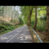 This bit of road is refreshingly cool.