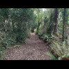... and narrower.