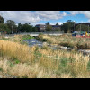 Little weirs on one branch of the River Avon.
